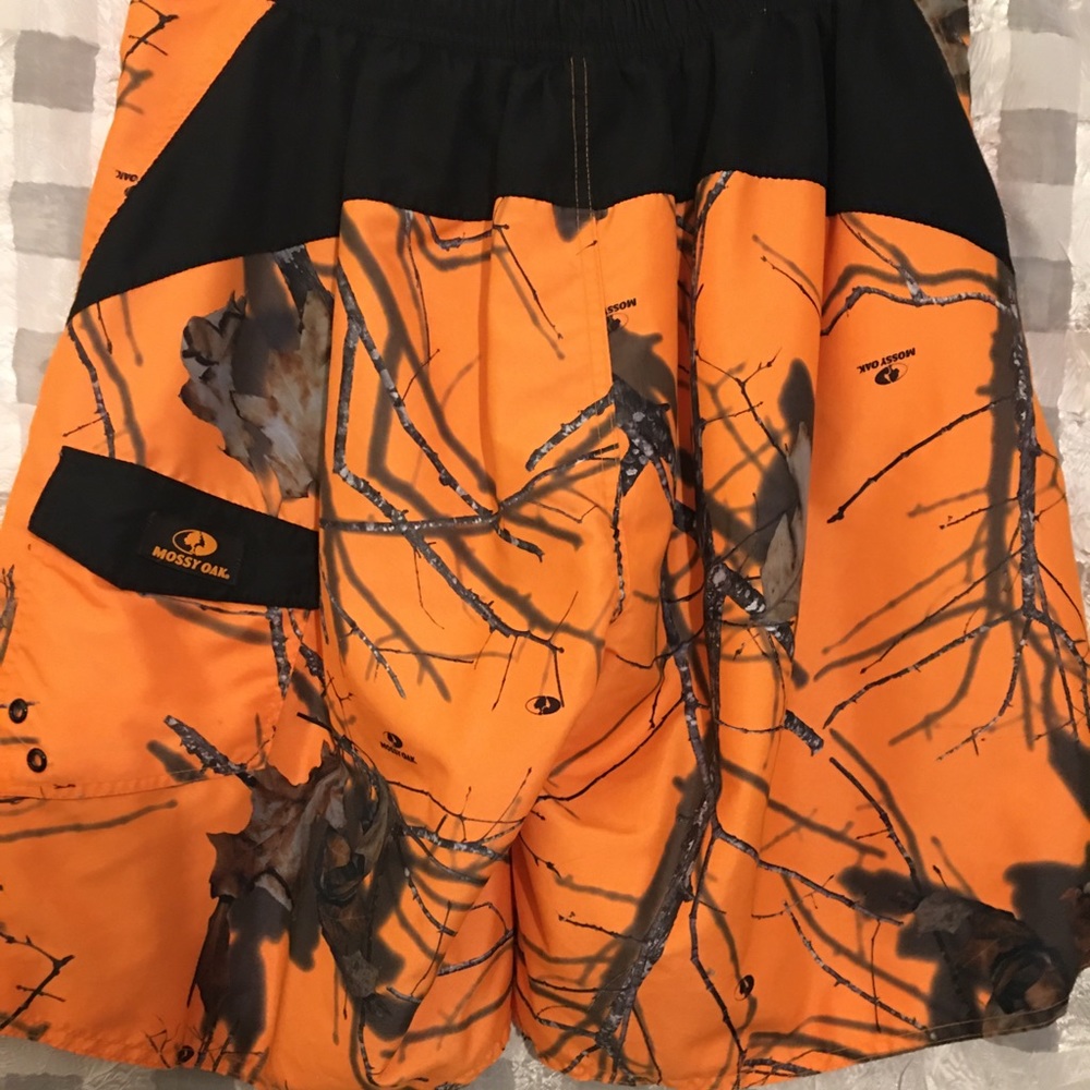 Mossy oak trunks